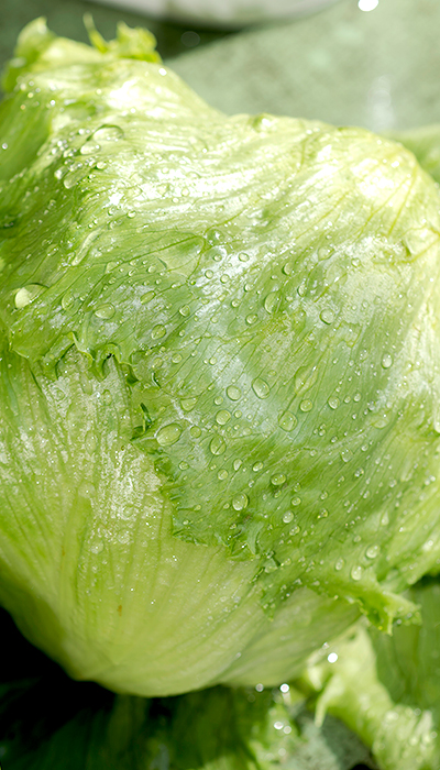 VEGETABLES 地元産にこだわった野菜