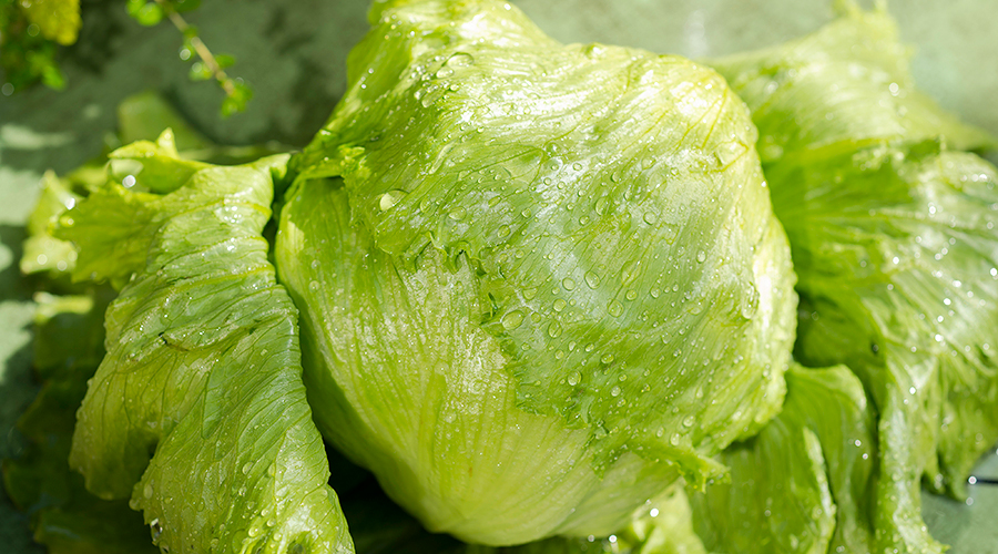 VEGETABLES 地元産にこだわった野菜