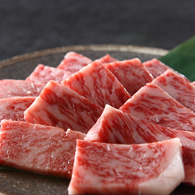 Hida beef rib roast for yakiniku